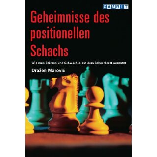 Drazen Marovic: Geheimnisse des positionellen Schachs