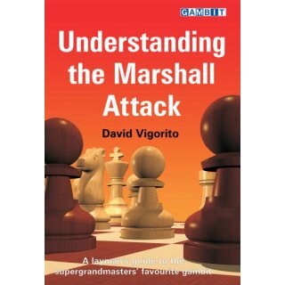 David Vigorito: Understanding the Marshall Attack
