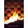 Alexej Schirow: Fire on Board - Best Games from 1983 - 2004