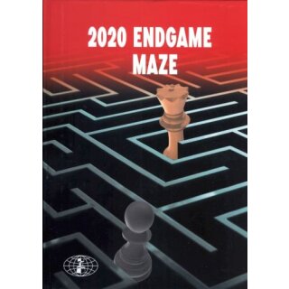 Ivan Ivanisevic, Milos Perunovic: 2020 Endgame Maze