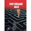 Ivan Ivanisevic, Milos Perunovic: 2020 Endgame Maze