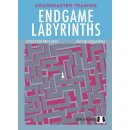 Graham Burgess: The Gambit Book of Instructive Chess Puzzles