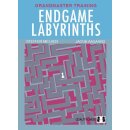 Jacob Aagaard: Endgame Labyrinths