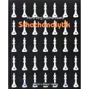 Hans J&ouml;rg Matheiowetz: Schachanalytik