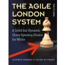 Alfonso Romero, Oscar de Prado: The Agile London System