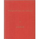 Weltgeschichte des Schachs 11: Lasker