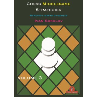 Ivan Sokolov: Chess Middlegame Strategies - Vol. 3