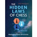 Nick Maatman: The Hidden Laws of Chess - Vol. 1