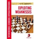 Cyrus Lakdawala: Exploiting Weaknesses