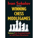 Ivan Sokolov: Winning Chess Middlegames - Vol. 1