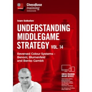 Ivan Sokolov: Understanding Middlegame Strategies 14