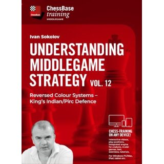 Ivan Sokolov: Understanding Middlegame Strategies 12